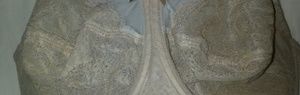 Wacoal 34H Cream Colored Bra